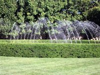 photos 2000-200902658